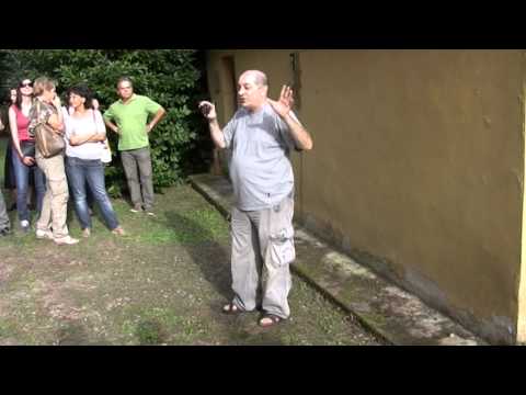 Performance "Niente è Come Sarà"