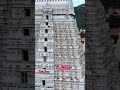 En Appan Allava En Thaayum Allava Shorts Omnamahshivaya
