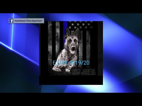 NJ Hackettstown Police K–9 JADA Memorial