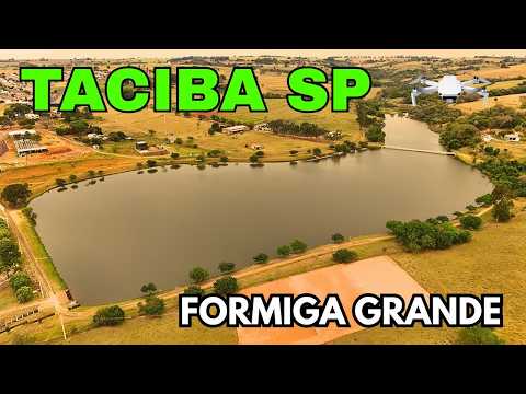TACIBA SP - FORMIGA GRANDE