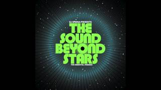 Tortured Soul - Why (DJ Spinna Mix)