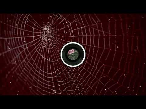 808 Bass Battle | Sound System Test