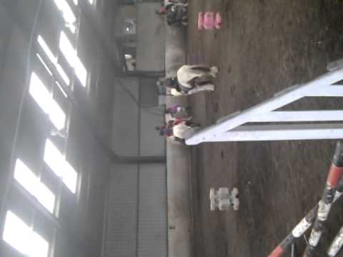 Erin rafferty horse riding