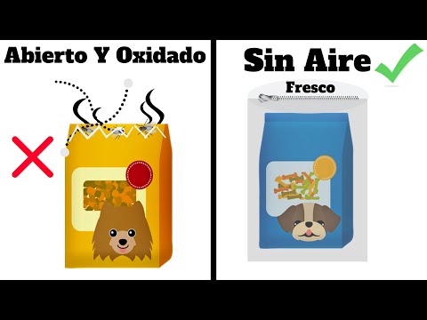 Como almacenar sus croquetas