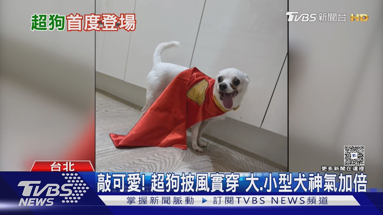 汪!超狗披風實穿「一秒融化」 獨家搶看《超人》激戰場面