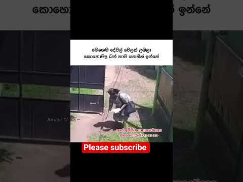 අම්මට තියෙන connections👍 #shortsfeed #shortvideo #funny #trendingshorts #trending