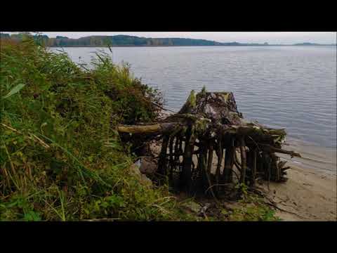 Siemień i inne okolice Parczew a - Fotografie 2019 _ 2020