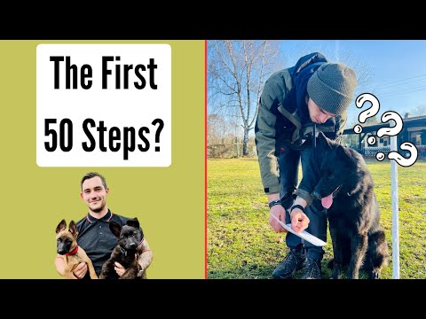 Heeling - The First 50 Steps In The BH Routine