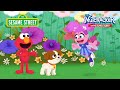 Sesame Street Abby S Sugar Plum Fairy Song From The Nutcracker Starring Elmo And Tango