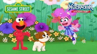 Sesame Street: Abby’s Sugar Plum Fairy Song from The Nutcracker Starring Elmo and Tango