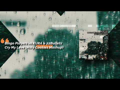 Bingo Players vs KURA & 22Bullets - Cry My Love (Miky Cookies Mashup)