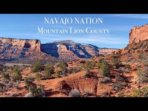 Dry Ground Hounds Trailing 