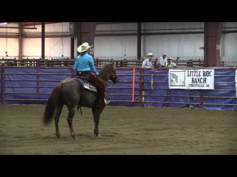 2016 ARHA WS- AMA Working Cow Horse Champion