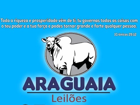 ARAGUAIA LEILÕES | NOVA CRIXÁS-GO 07/08/2026 | LEILÃO DE GADO AO VIVO