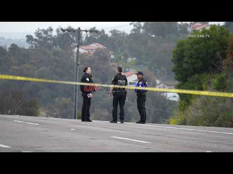 Fatal Hit Run Oceanside Ca