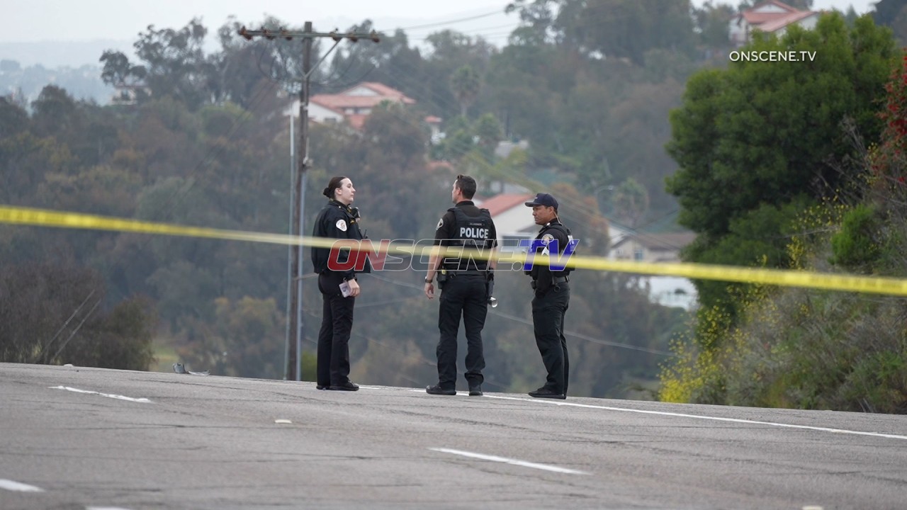 Fatal Hit & Run, Oceanside, CA
