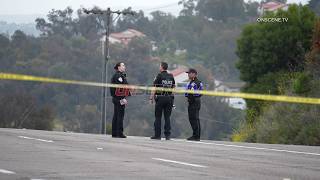 Fatal Hit & Run, Oceanside, CA