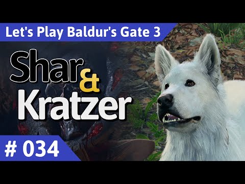 Baldur's Gate 3 deutsch Teil 34 - Shar & Kratzer Let's Play