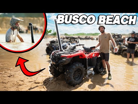 Mud Bash 2024