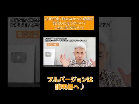 アジサイの花はなぜ色褪せるのか