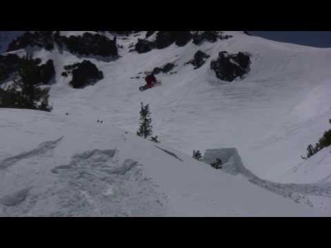 Moss Halladay - Back 10 Double Cork