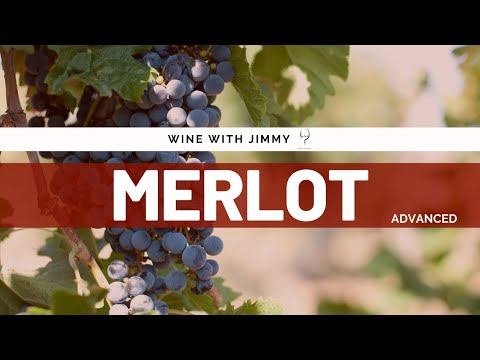 Key Grape Varieties: Merlot Advanced Version for WSET L3 and L4