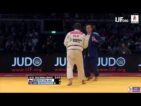 Judo 2016 Grand Prix Dusseldorf: Trstenjak (SLO) - Schlesinger (GBR) [-63kg] final