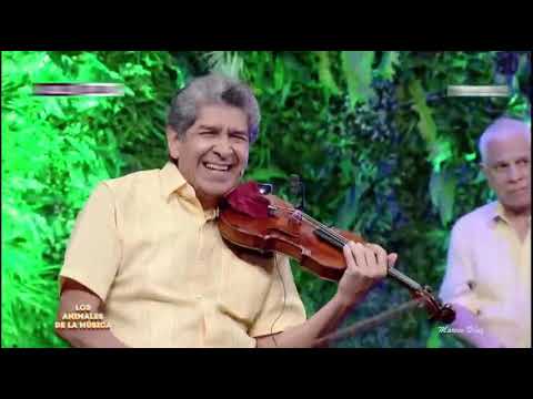 Francisco Russo - ARRIBEÑO PURAHÉI (Barcino Koli)