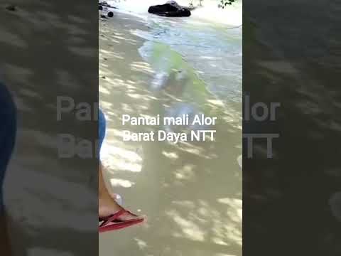 Pantai Mali Alor NTT