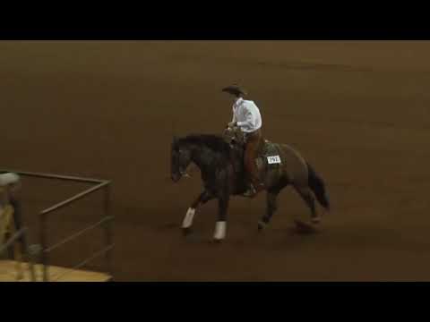 171014 Jack Meadows on Frame Draggin NP Derby