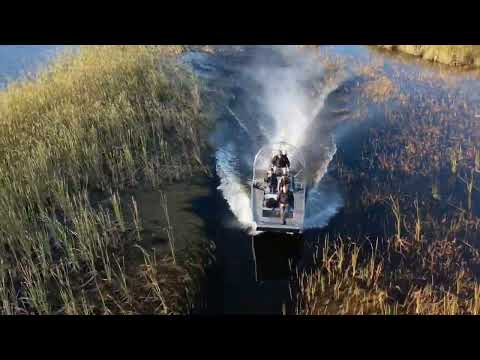 Charter an airboat in the Florida Everglades!