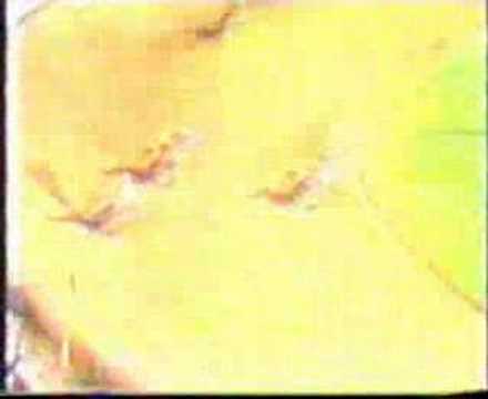 Moran King and Gundersen