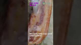 유튜브 썸네일