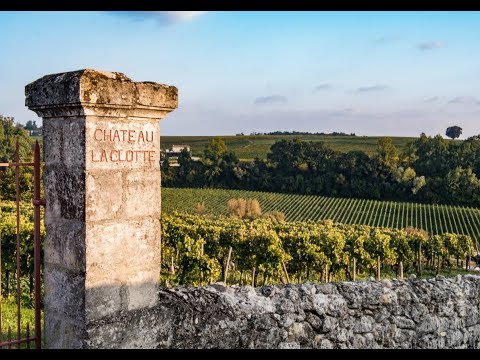 Винодельческий район Сент-Эмильон,Франция.