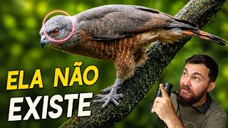 Miniatura do vídeo