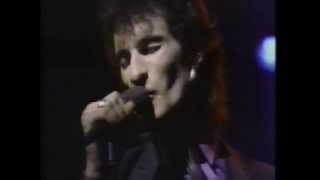 Mink DeVille -  Love And Emotion