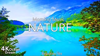 Sleeping Relaxing Music For Stress Relief | Relaxing Music