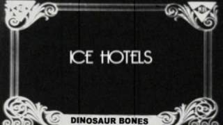 Dinosaur Bones - Ice Hotels
