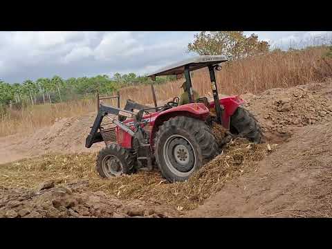 fazenda silagem