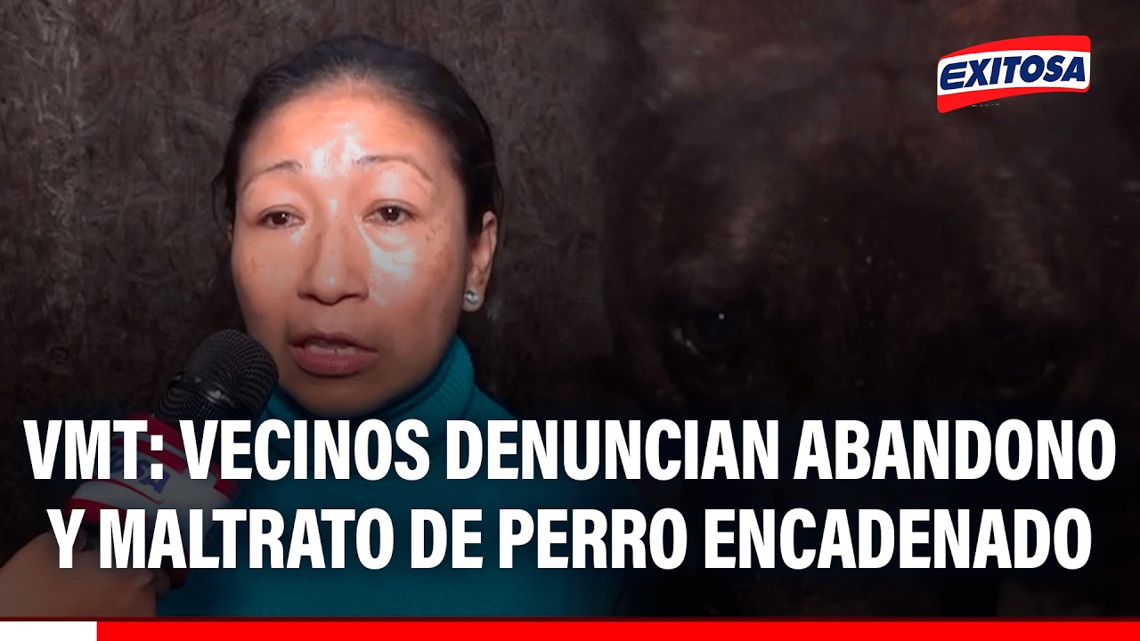🔴🔵 Vecinos denuncian abandono y maltrato de perro encadenado y desnutrido en VMT