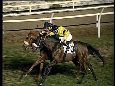 Galoppo 09/01/2019 - 6ª corsa - TRIS