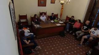 Ple en sessió ordinària de 29 de setembre de 2026