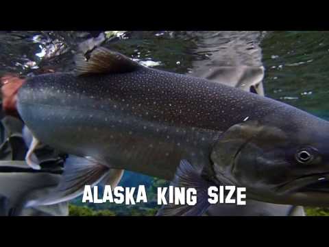 Alaska KING Size - Fliegenfischen auf Königslachs