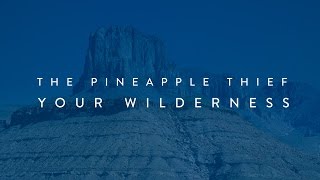 The Pineapple Thief - Your Wilderness (teaser)