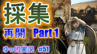 【ゆっくり実況】PC版黒い砂漠で放浪 #51　採集を再開　Part1　Black Desert Online【BDO】