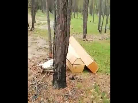 На кладбище в районе Птицефабрики валяются пустые гробы