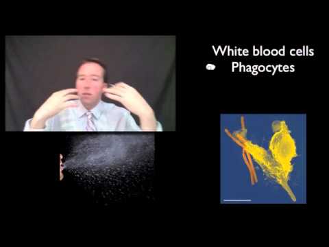 Three lines of defence