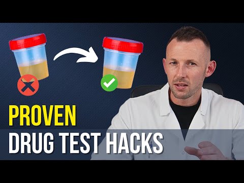 Beat a Drug Test: 3 Proven Methods That ACTUALLY WORK (Even for Heavy Users)