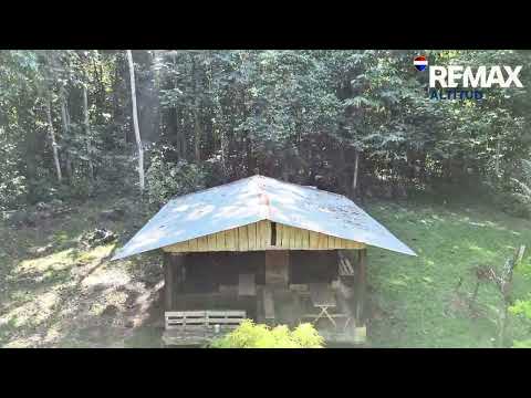 img-video