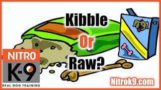 Episode 1 thumbnail